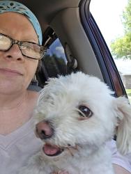 Found/Stray Unknown Dog last seen Catalina at coral, Lancaster, TX 75146