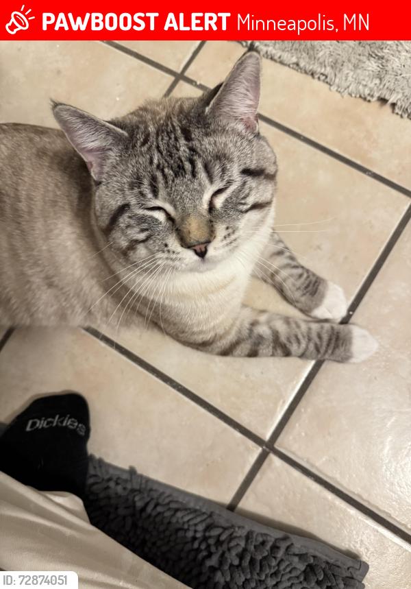 Lost Male Cat last seen 42nd st and 2nd ave s, Minneapolis, MN 55409