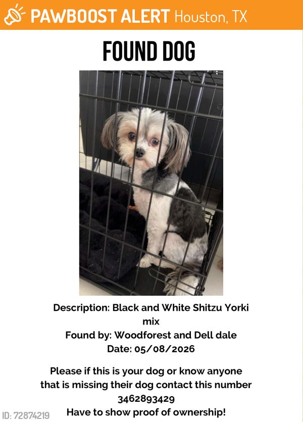 Found/Stray Female Dog last seen Dell Dale , Houston, TX 77015