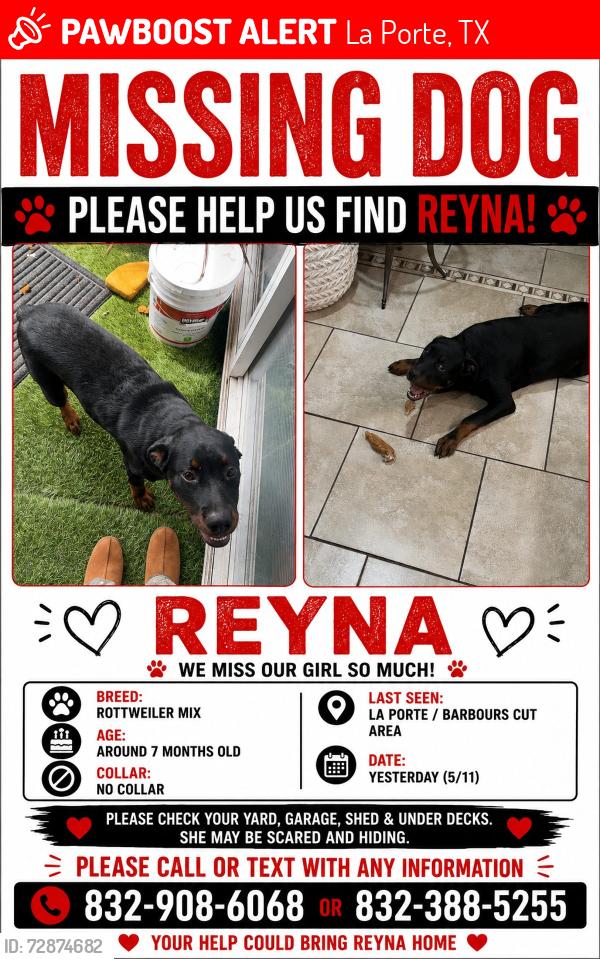 Lost Female Dog last seen Barbours cut , La Porte, TX 77571
