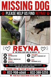 Lost Female Dog last seen Barbours cut , La Porte, TX 77571