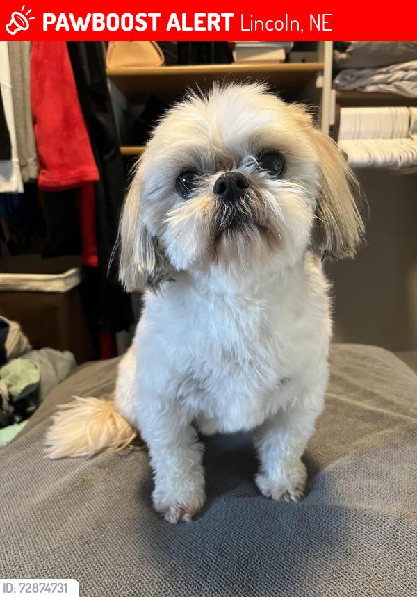 Lost Male Dog last seen 75th and Portsche lane , Lincoln, NE 68516