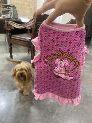 Found/Stray Female Dog last seen Military Highway 281, Brownsville, TX 78520