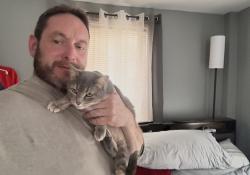 Lost Female Cat last seen Home Depot Marlborough mass, Orange, CT 06477