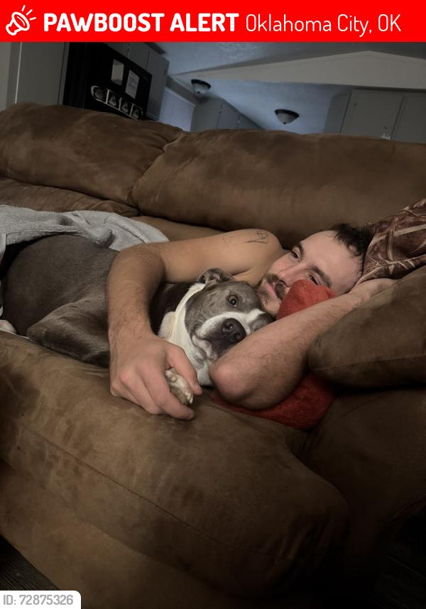 Lost Male Dog last seen Shells gas station and family dollar , Oklahoma City, OK 73109
