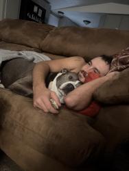 Lost Male Dog last seen Shells gas station and family dollar , Oklahoma City, OK 73109