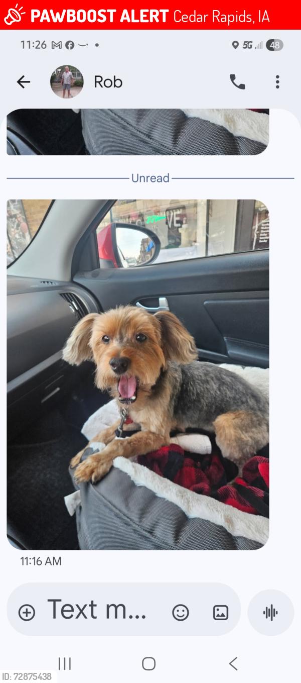 Lost Female Dog last seen Jacolyn park area, Cedar Rapids, IA 52405