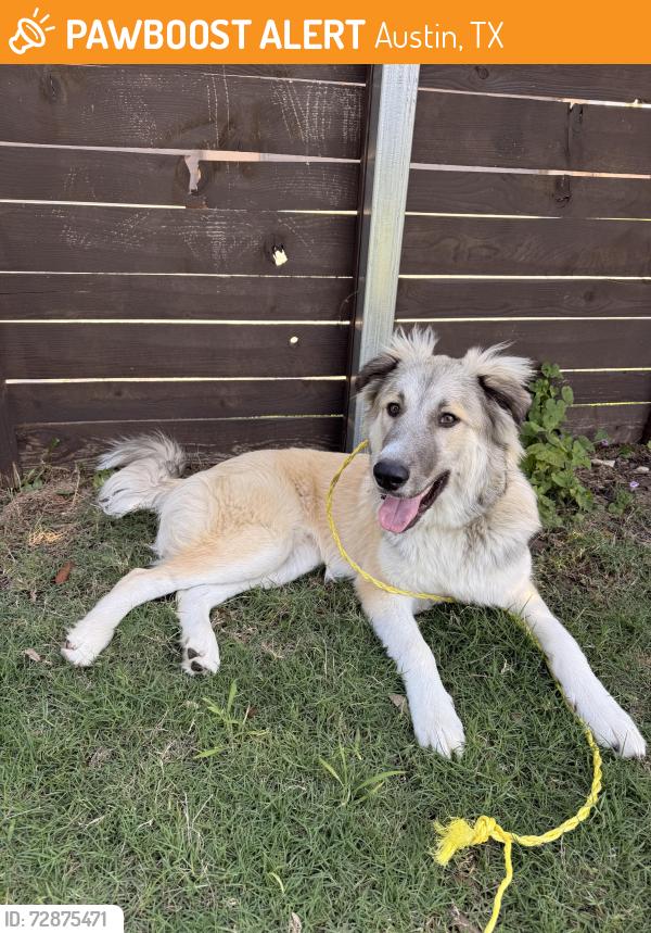 Found/Stray Unknown Dog last seen Goodnight ranch , Austin, TX 78747