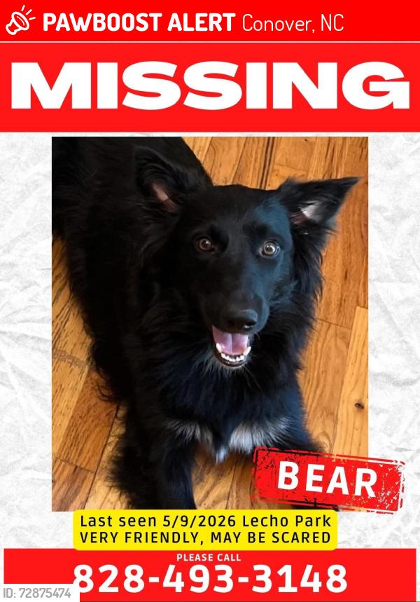 Lost Male Dog last seen Lecho Park, Conover, NC 28613
