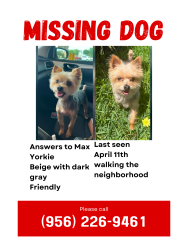 Lost Male Dog last seen Yupon Street, Baytown Texas, Baytown, TX 77520