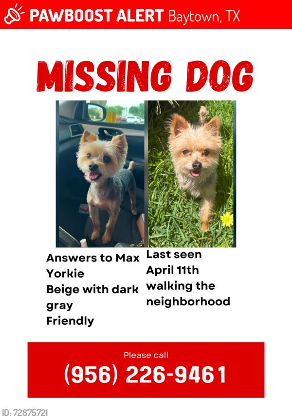 Lost Male Dog last seen Yupon Street, Baytown Texas, Baytown, TX 77520