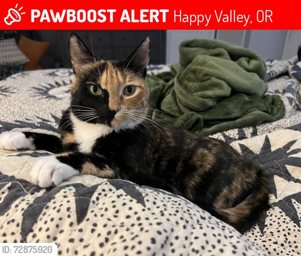 Lost Female Cat last seen Sunnyside rd behind US Bank, Happy Valley, OR 97086