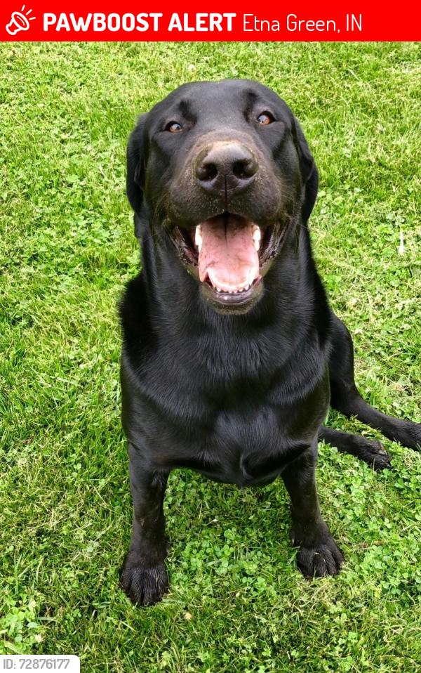 Lost Male Dog last seen Us 30, Etna Green, IN 46524
