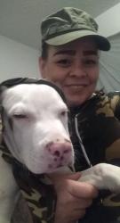 Lost Female Dog last seen Menaul and Carlisle , Albuquerque, NM 87107