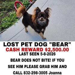 Lost Male Dog last seen Heritage Ranch Road , Montgomery County, TX 77303