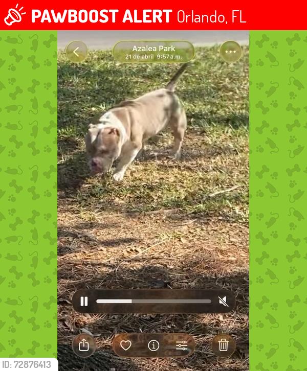 Lost Unknown Dog last seen N Hiawasse Rd, Orlando, FL 32818