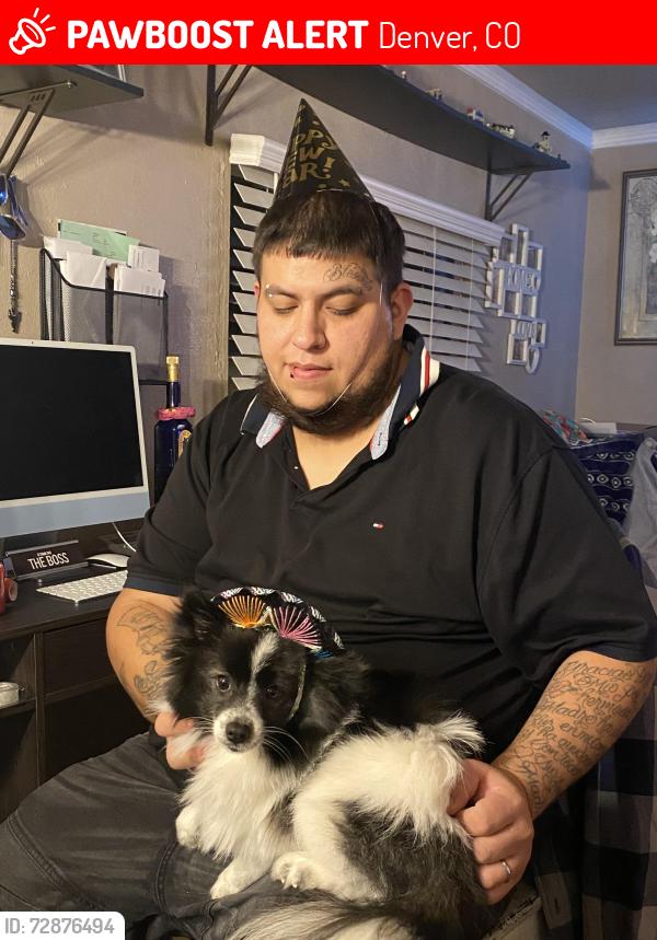 Lost Male Dog last seen Federal, Denver, CO 80221