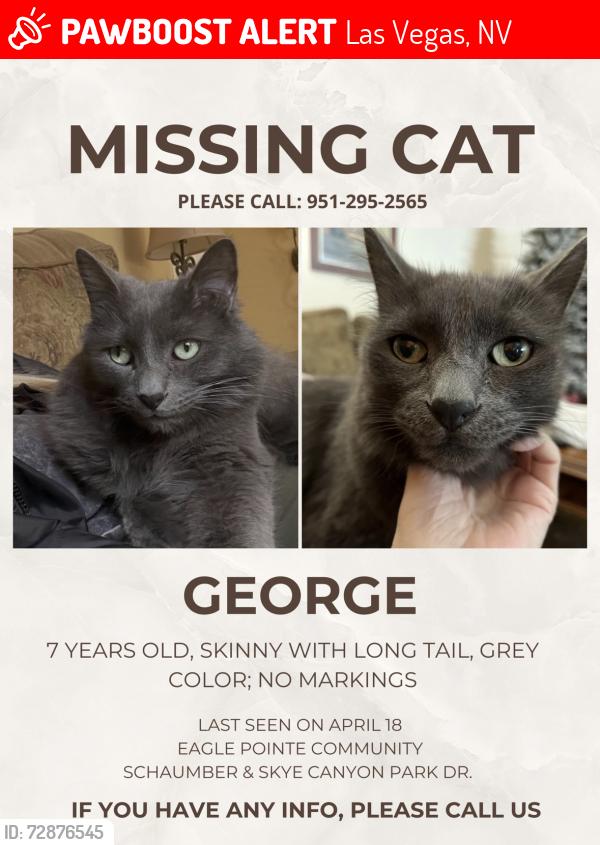 Lost Male Cat last seen Faxom x deibel, Las Vegas, NV 89166