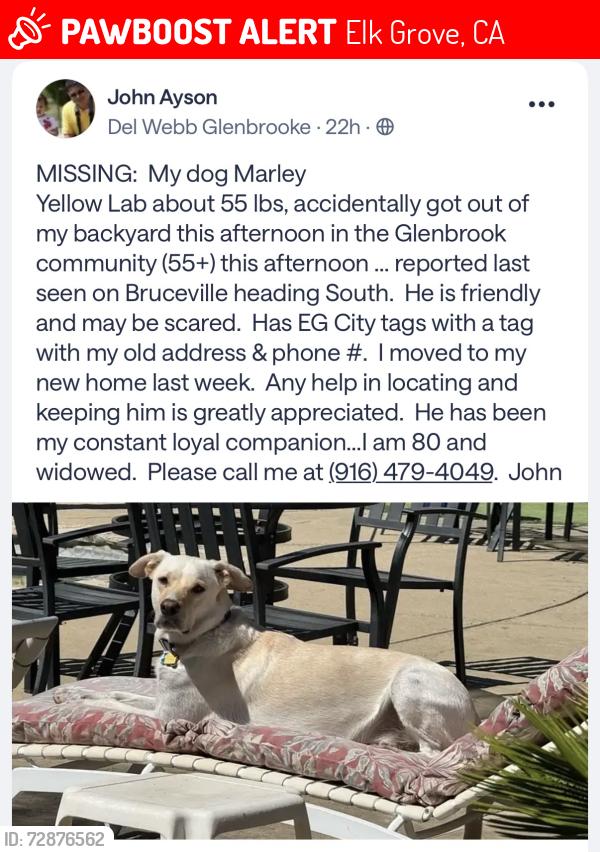 Lost Male Dog last seen Bruceville and whitelock, Elk Grove, CA 95757