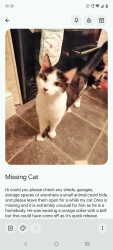 Lost Male Cat last seen Millner ings, Wyke, England BD12 8DT