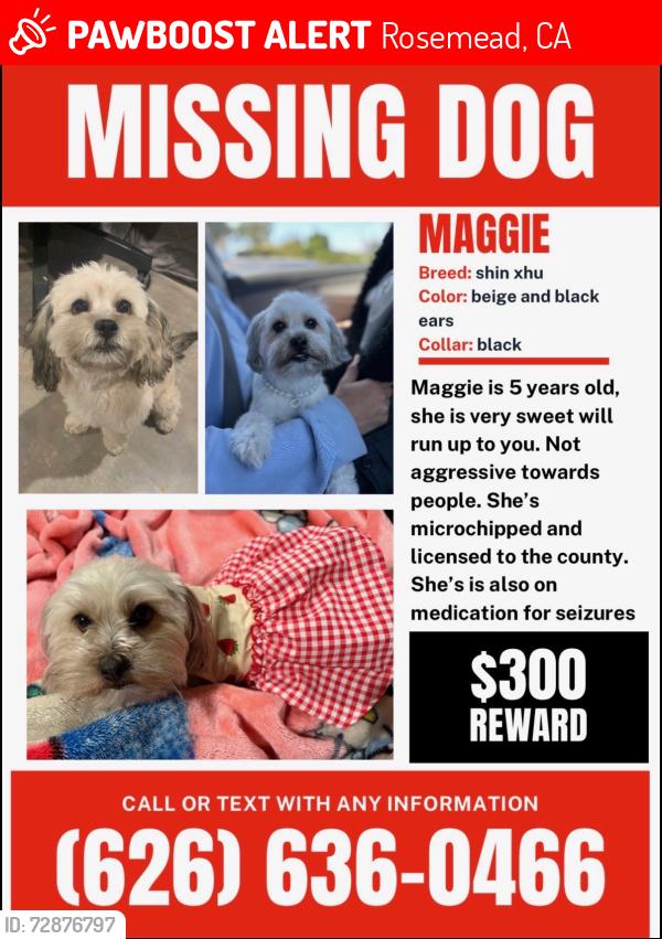 Lost Female Dog last seen Maryvale, Garvey Ranch Park, Monterey Vista, New Ave, Jackson Ave, Del Mar Ave, Mooney Dr, Cathryn Dr, Cathryn Pl, Stevens, Rosemead, CA 91770