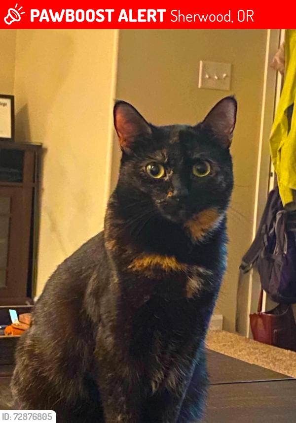Lost Female Cat last seen Cedar brook way, sherwood, or, Sherwood, OR 97140