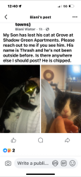 Lost Male Cat last seen Toll house Circle, Road Franklin , Franklin, TN 37064