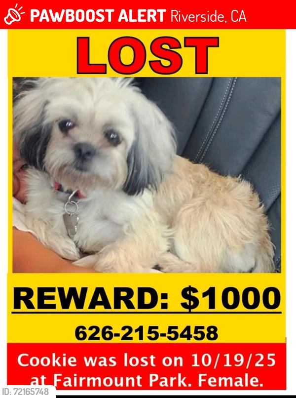 Lost Female Dog last seen Fairmont park Riverside , Riverside, CA 92501