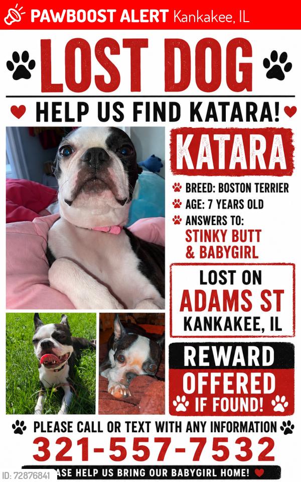 Lost Female Dog last seen Adam’s/Entrance, Kankakee, IL 60901