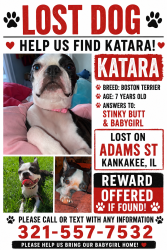 Lost Female Dog last seen Adam’s/Entrance, Kankakee, IL 60901