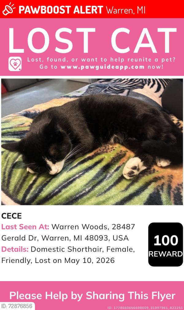 Lost Female Cat last seen Between 12 and Hoover or Martin and Hoover, Warren, MI 48093