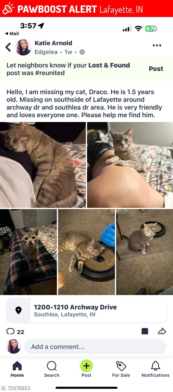 Lost Male Cat last seen Archway and fairwood dr , Lafayette, IN 47909