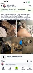 Lost Male Cat last seen Archway and fairwood dr , Lafayette, IN 47909