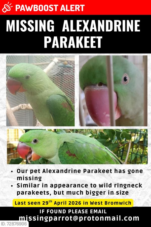Lost Unknown Bird last seen Hateley Heath, West Bromwich, West Bromwich, England 
