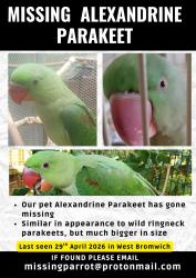 Lost Unknown Bird last seen Hateley Heath, West Bromwich, West Bromwich, England 