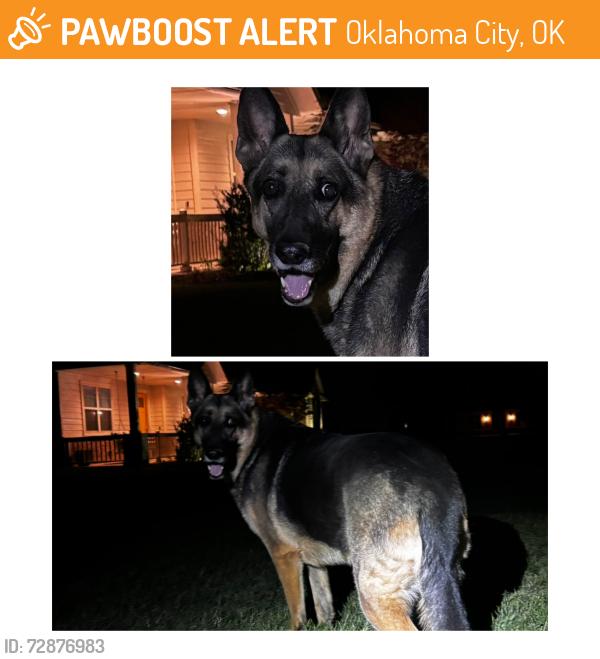 Found/Stray Female Dog last seen S. Sunnylane and 12th (119th), Oklahoma City, OK 73160