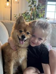 Lost Male Dog last seen Water st Lawrence ma, Lawrence, MA 01841