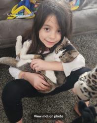 Lost Female Cat last seen Lakeshore terrace trailer court , Rice Lake, WI 54868