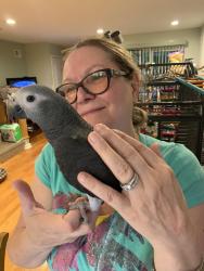 Lost Male Bird last seen Deaf and blind school, Spartanburg, SC 29302