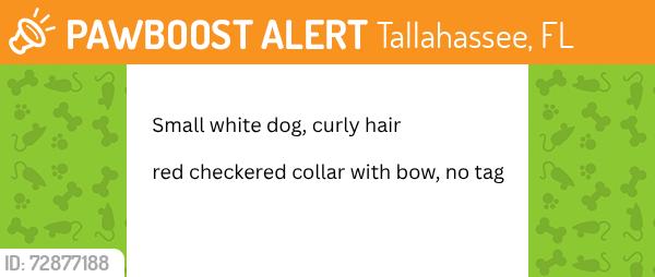 Found/Stray Unknown Dog last seen Tharpe st near Shadow Ridge apmts, Tallahassee, FL 32303