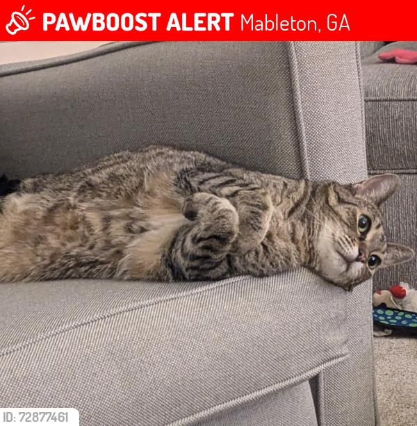 Lost Female Cat last seen Vinings Vintage, Mableton, GA 30126