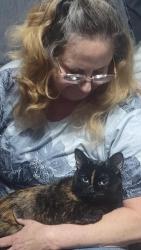 Lost Female Cat last seen Autumn place apmts, Blue Springs, MO 64015