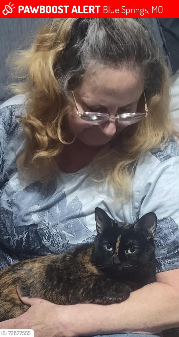 Lost Female Cat last seen Autumn place apmts, Blue Springs, MO 64015