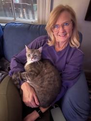 Lost Male Cat last seen Belvedere, Gastonia, NC 28054