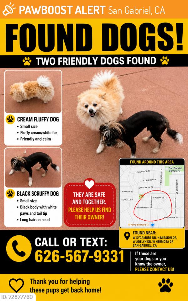 Found/Stray Male Dog last seen San Gabriel , San Gabriel, CA 91776