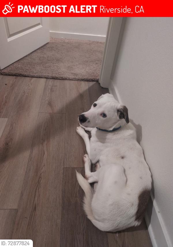 Lost Male Other last seen Lakepointe Dr and the park, Riverside, CA 92503