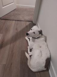 Lost Male Other last seen Lakepointe Dr and the park, Riverside, CA 92503