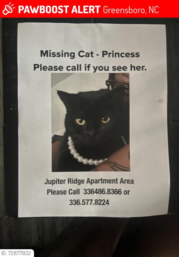 Lost Female Cat last seen Holden rd and belmar, Greensboro, NC 27407