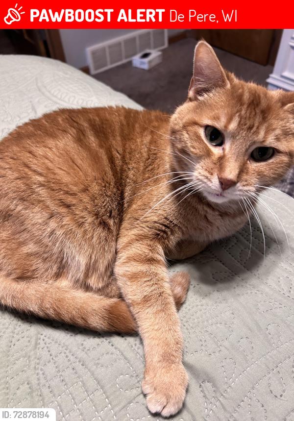 Lost Female Cat last seen Near the Ledgeview Town Hall, De Pere, WI 54115