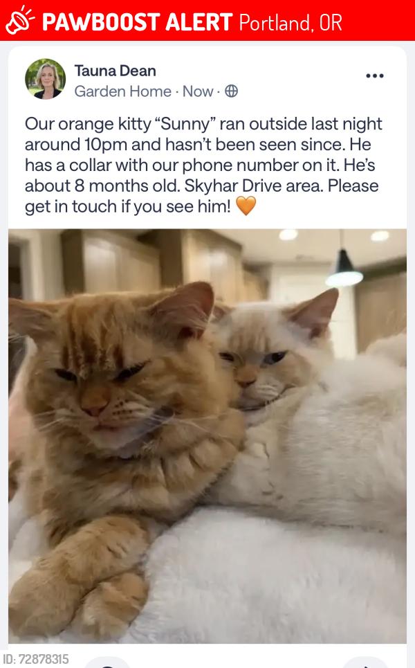 Lost Male Cat last seen Oleson road , Portland, OR 97223